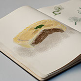 Ramley House Publishing - Pigeon Pie Sketch