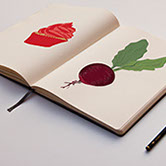 Ramley House Publishing - Beetroot Sketch