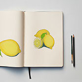 Ramley House Publishing - Lemon Sketch